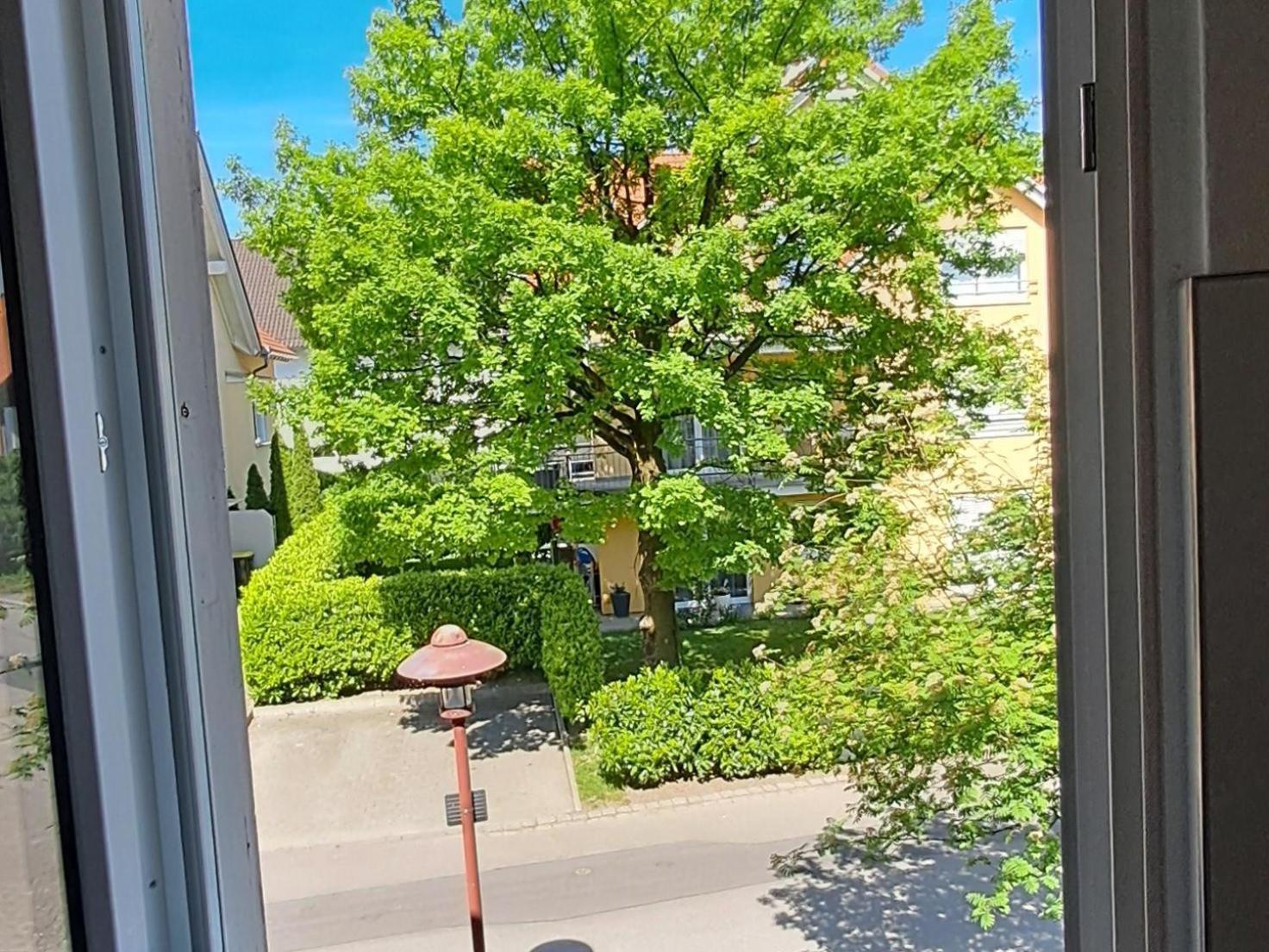 Ferienhof Dillmann - 朗根阿根 外观 照片